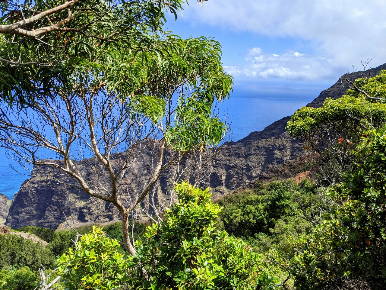 Forest & Falls Hike - Hiking